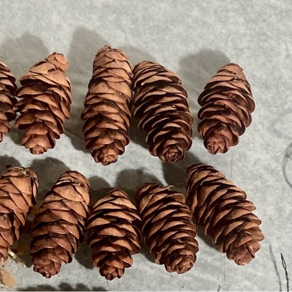 Pinecones Miniature Decorating Set